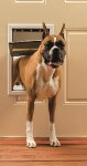 L Door