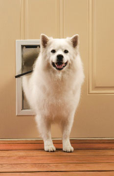 M Door