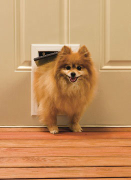 S Door